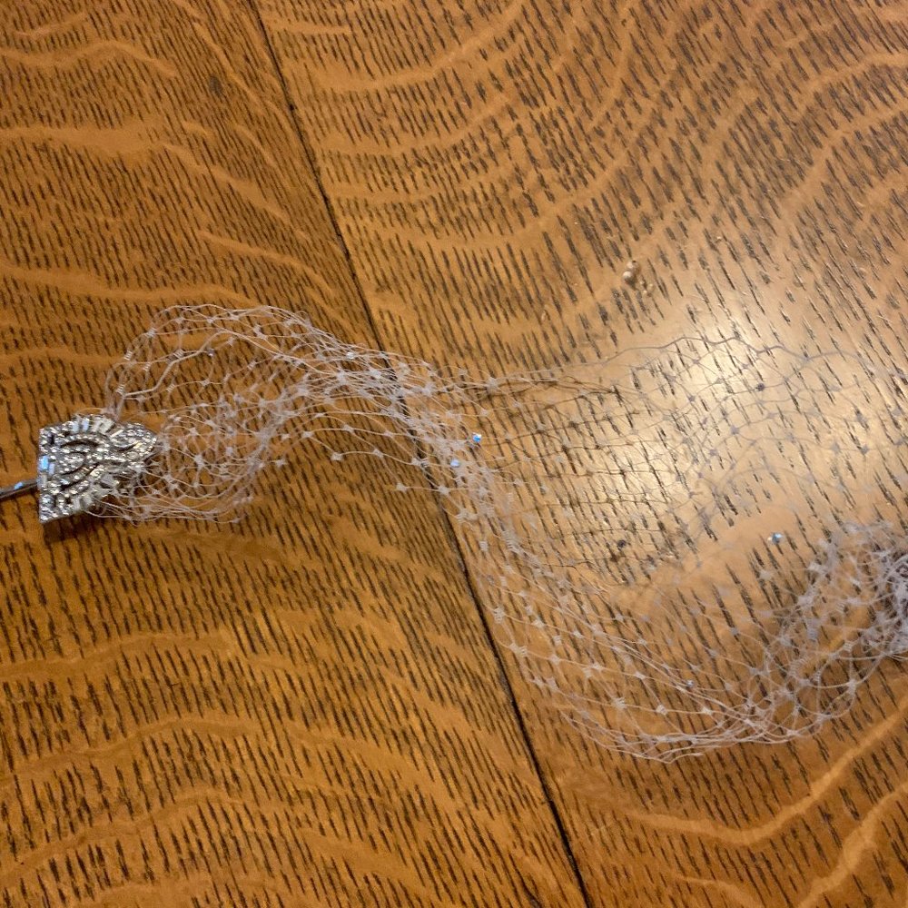 Decorative hairnet with rhinestone + crystal pins